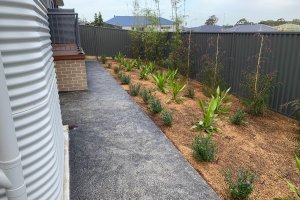 Hamlyn Terrance Project